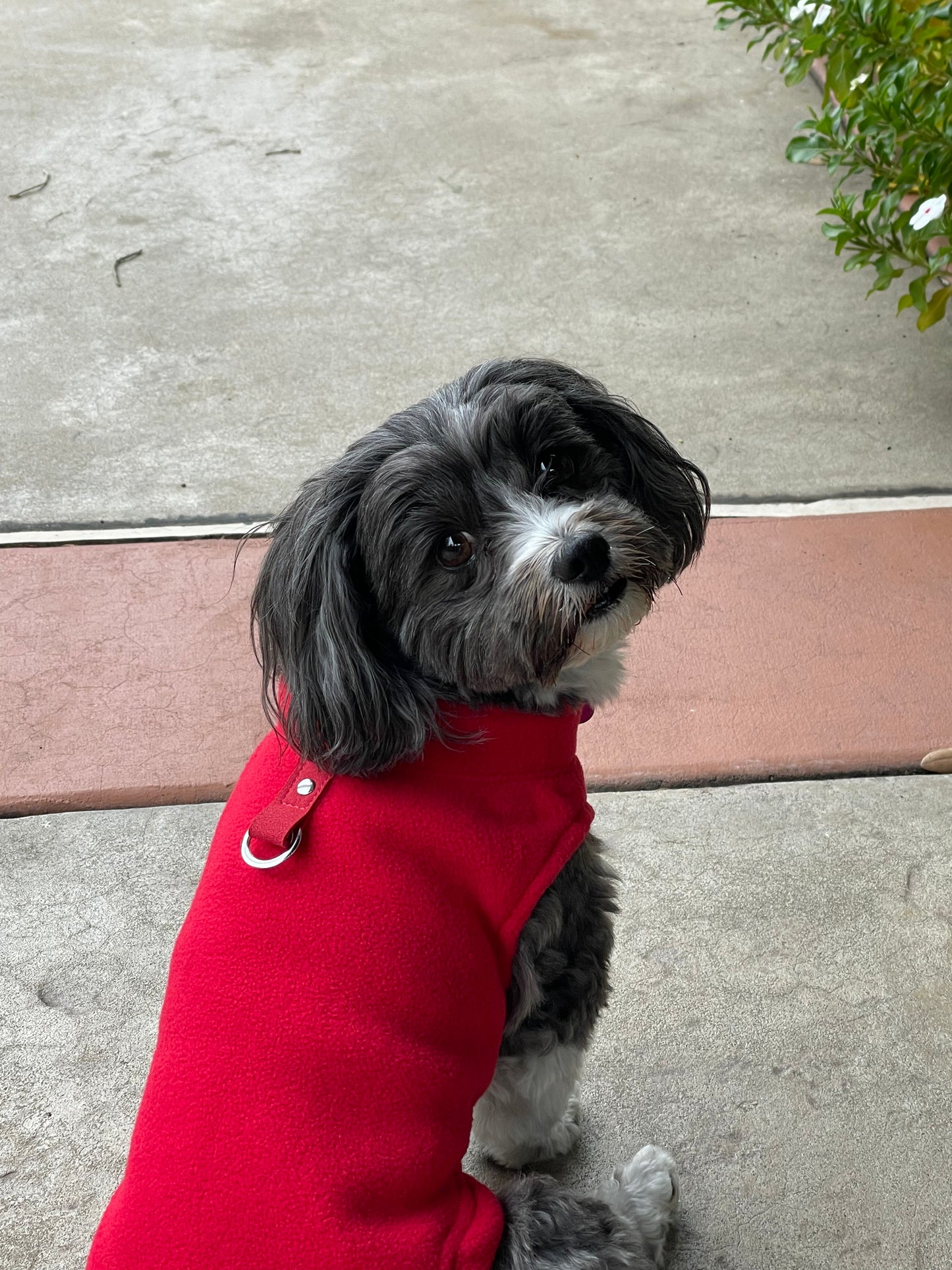 Fleece Vest with Leash Ring