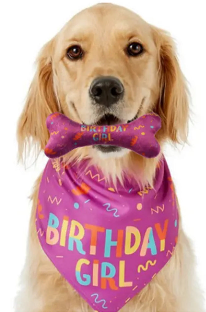 Birthday Bandana and Chew Toy Set