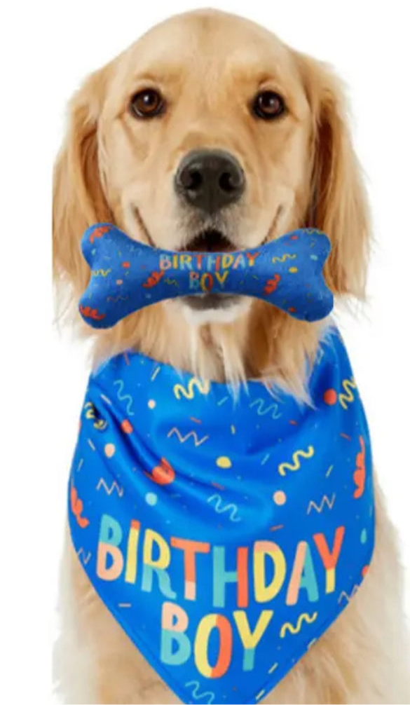 Birthday Bandana and Chew Toy Set